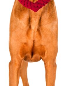 elbhunde dresden laboni hundespielzeug hertha heart hund scaled 1