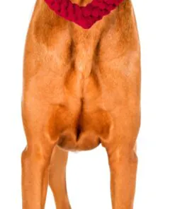 elbhunde dresden laboni hundespielzeug hertha heart hund scaled 1