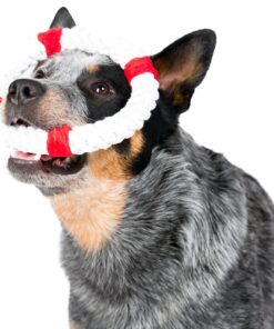 elbhunde dresden laboni hundespielzeug rita rettungsring hund