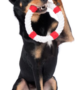 elbhunde dresden laboni hundespielzeug rita rettungsring hund2