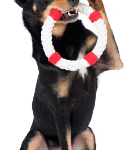 elbhunde dresden laboni hundespielzeug rita rettungsring hund2