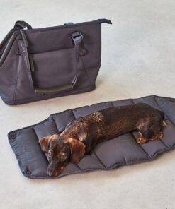 elbhunde dresden miacara hundetragetasche sporta asphalt dackel decke