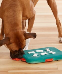 elbhunde dresden nina ottosson beschaeftigung intelligenzspielzeug kopfarbeit dog casino hund