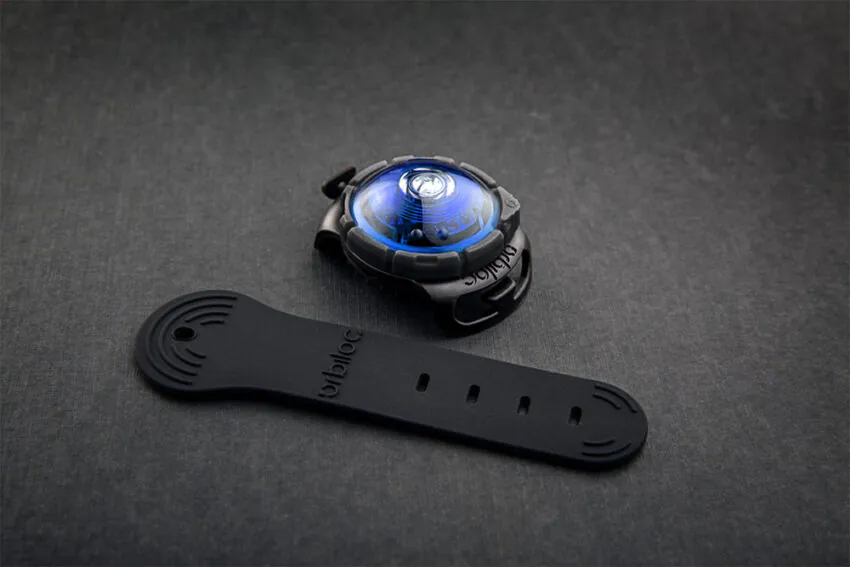 elbhunde dresden orbiloc dog dual safety light sicherheitslicht blue