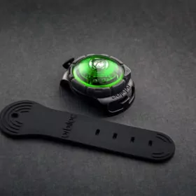 elbhunde dresden orbiloc dog dual safety light sicherheitslicht green