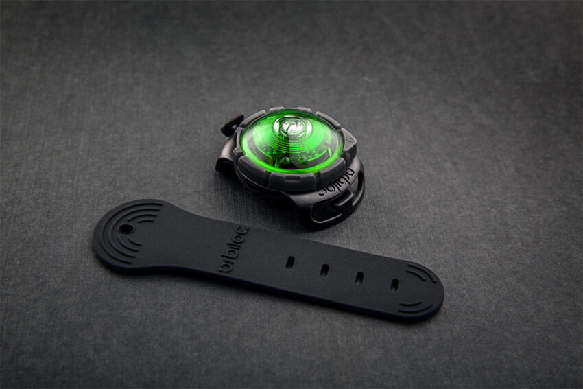 elbhunde dresden orbiloc dog dual safety light sicherheitslicht green