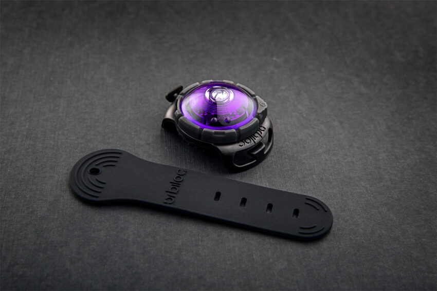 elbhunde dresden orbiloc dog dual safety light sicherheitslicht purple