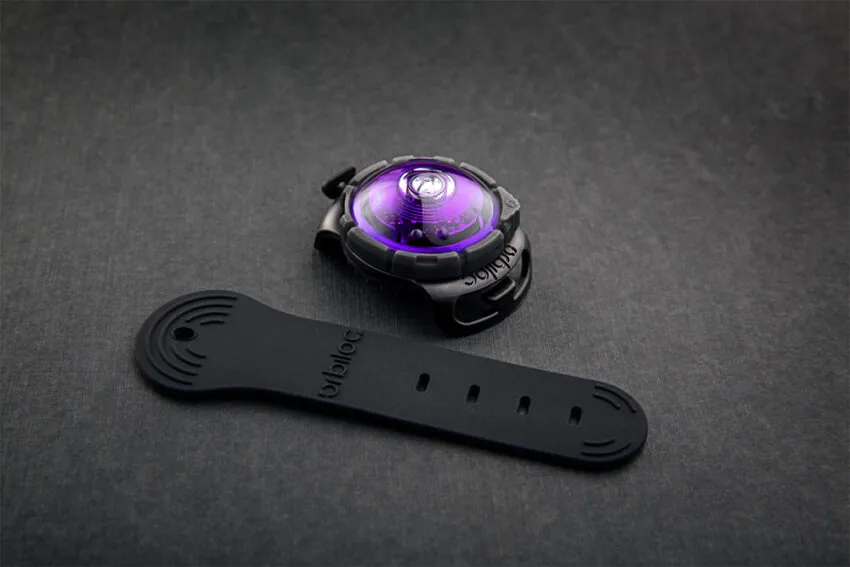 elbhunde dresden orbiloc dog dual safety light sicherheitslicht purple