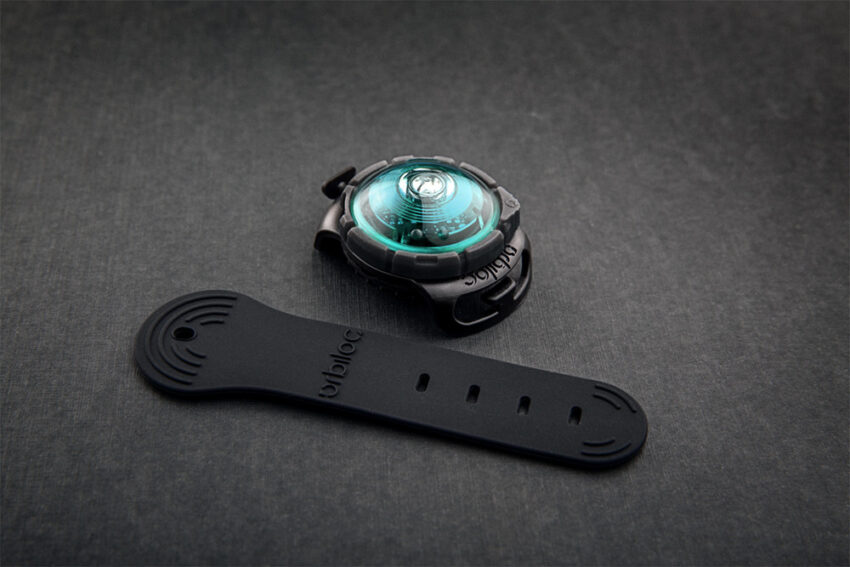 elbhunde dresden orbiloc dog dual safety light sicherheitslicht turquoise