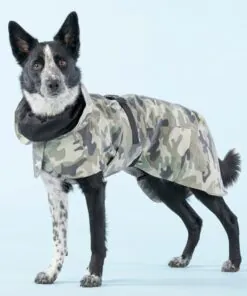 elbhunde dresden paikka recovery regenmantel reflektierend camo hund