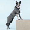 Elbhunde PAIKKA Visibility Regenmantel reflektierend Dark Hund