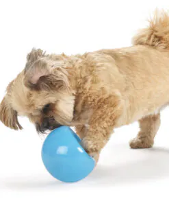 elbhunde dresden planet dog hundespielzeug intelligenzspielzeug beschaeftigung orbee tuff snoop hund