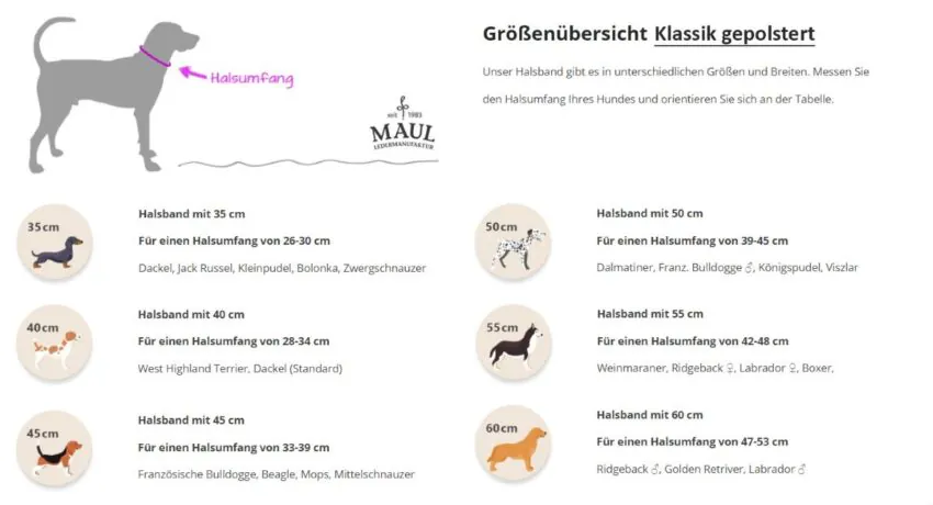 elbhunde maul ledermanufaktur halsband mono pop groessenuebersicht