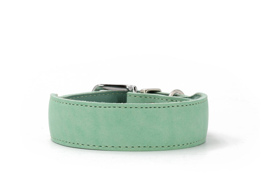 elbhunde maul ledermanufaktur halsband mono pop mint