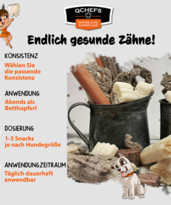 endlich gesunde zaehne hund