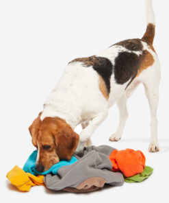 elbhunde knauders best beschaeftigungsspielzeug sniffmaster beagle