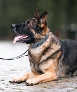 elbhunde biothane paracord halsband reflektierend model