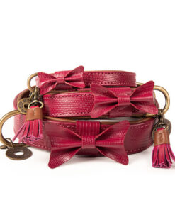 elbhunde dwam halsband bonnie