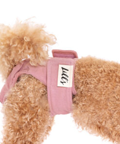 elbhunde lills laeufigkeitshose hund seitlich nah