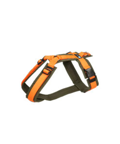 elbhunde annyx brustgeschirr fun oliv orange