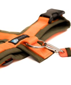 elbhunde annyx brustgeschirr gravurmarke oliv orange