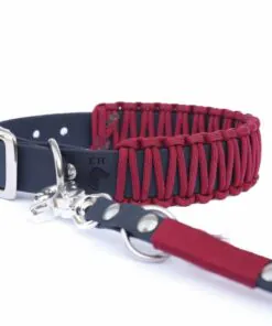 elbhunde biothane paracord halsband berry premium leine 1