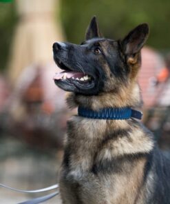 elbhunde biothane paracord halsband blue sea model