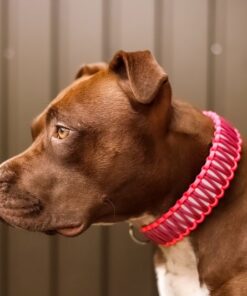 elbhunde biothane paracord halsband summer girls hund