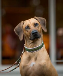 elbhunde biothane paracord halsband tulip model