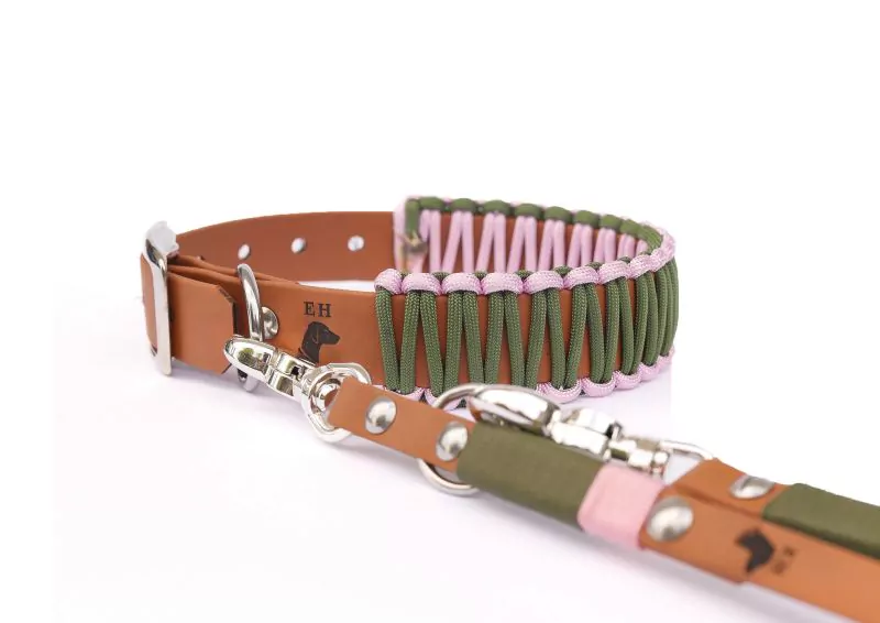 elbhunde biothane paracord halsband tulip premium leine 1