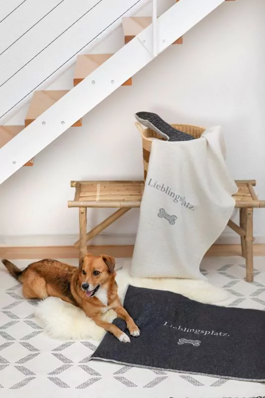 elbhunde david fussenegger decke lieblingsplatz hund