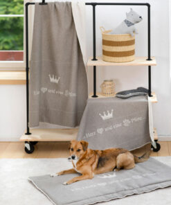 elbhunde dresden david fussenegger decke ein herz und eine pfote hund