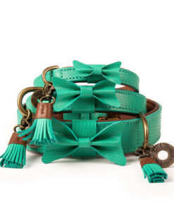 elbhunde dwam halsband boomer groessen