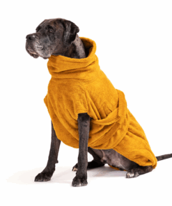 elbhunde lills bademantel amber hund sitzend frontal