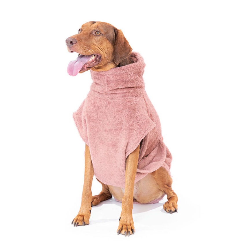 elbhunde lills bademantel pink berry hund sitzend frontal