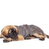 Elbhunde Lills Bademantel Stone Grey Hund liegend Seite