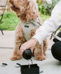 elbhunde dresden cocopup london faltbarere Flasche benutzung