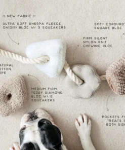 elbhunde dresden lambwolf collective blocs beschriftung