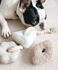 elbhunde dresden lambwolf collective blocs hund klein