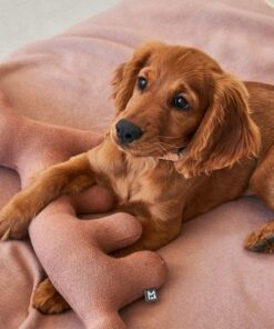 elbhunde dresden miacara stofftier bosco fuchs hund