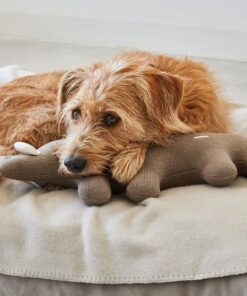 elbhunde dresden miacara stofftier bosco wildschwein hund