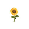 elbhunde dresden play sassy sunflower