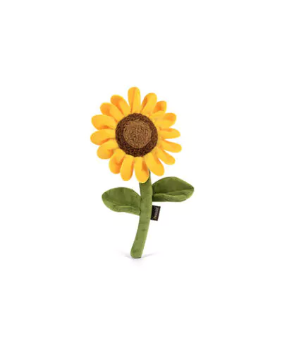 Elbhunde P.L.A.Y Sassy Sunflower