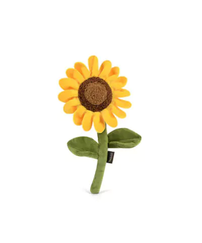 elbhunde dresden play sassy sunflower.jpg
