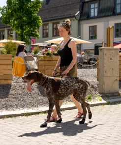 elbhunde nonstopdogwear protector booties angezogen