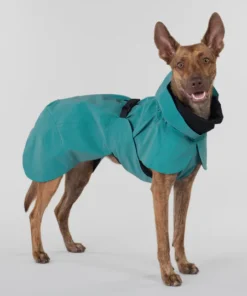 elbhunde paikka regenmantel smaragd hund