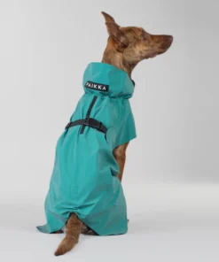 elbhunde paikka regenmantel smaragd hund rueckseite