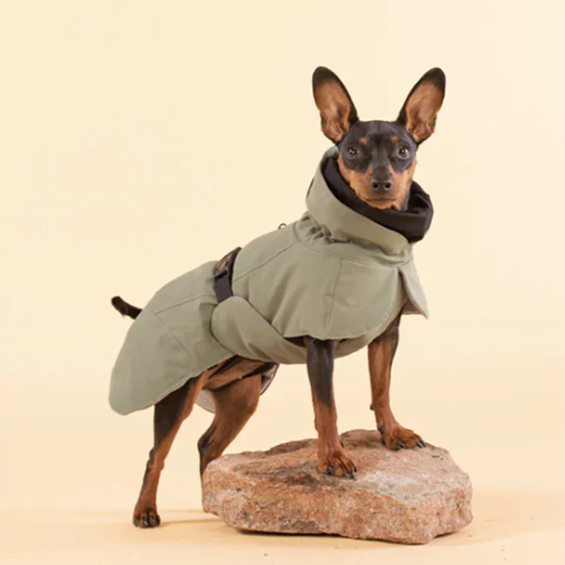 elbhunde blog hundemantel mit bauchschutz