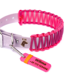 elbhunde dresden elbhunde gravurmarke halsband