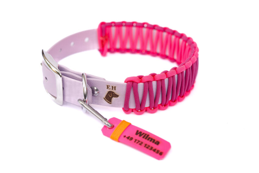 elbhunde dresden elbhunde gravurmarke halsband